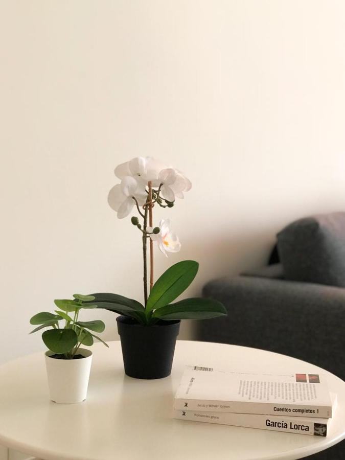 Carihuela Beach Suite Apartment توريمولينوس المظهر الخارجي الصورة